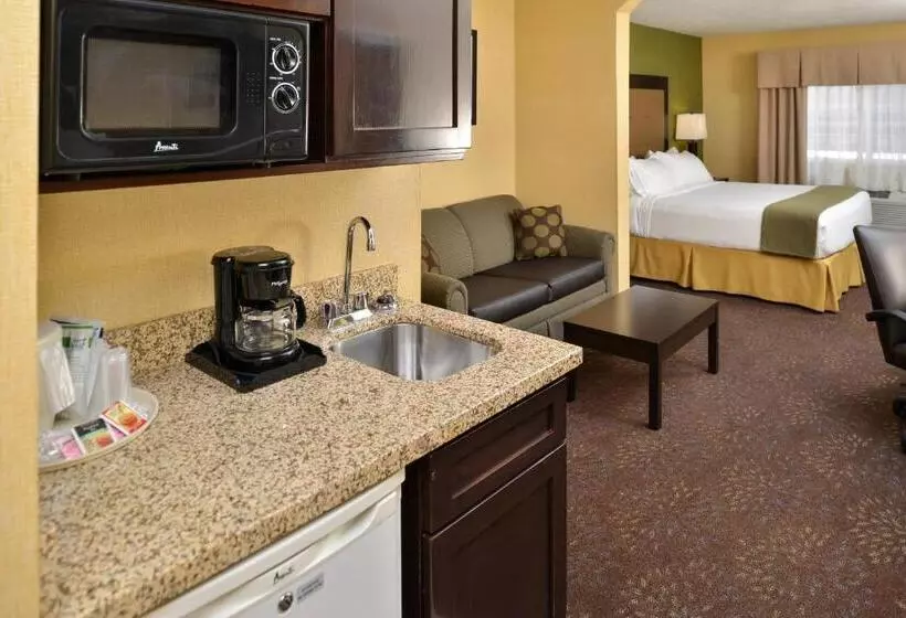 キングサイズベッドのエクゼクティブルーム, Holiday Inn Express Hotel & Suites Charlotte, An Ihg