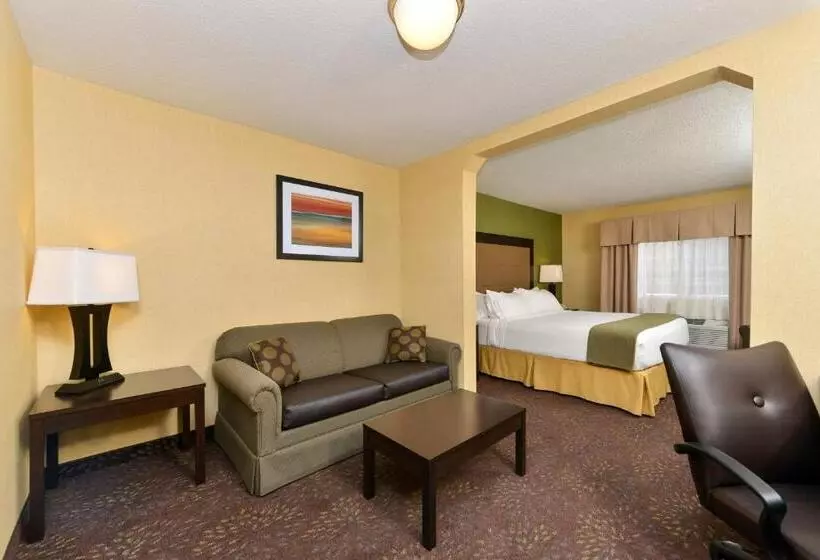 キングサイズベッドのエクゼクティブルーム, Holiday Inn Express Hotel & Suites Charlotte, An Ihg