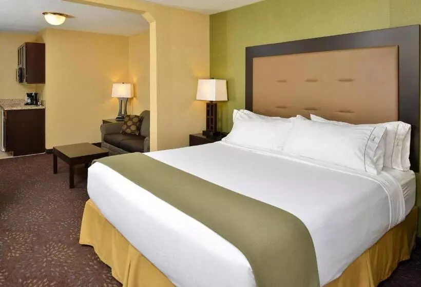 キングサイズベッドのエクゼクティブルーム, Holiday Inn Express Hotel & Suites Charlotte, An Ihg