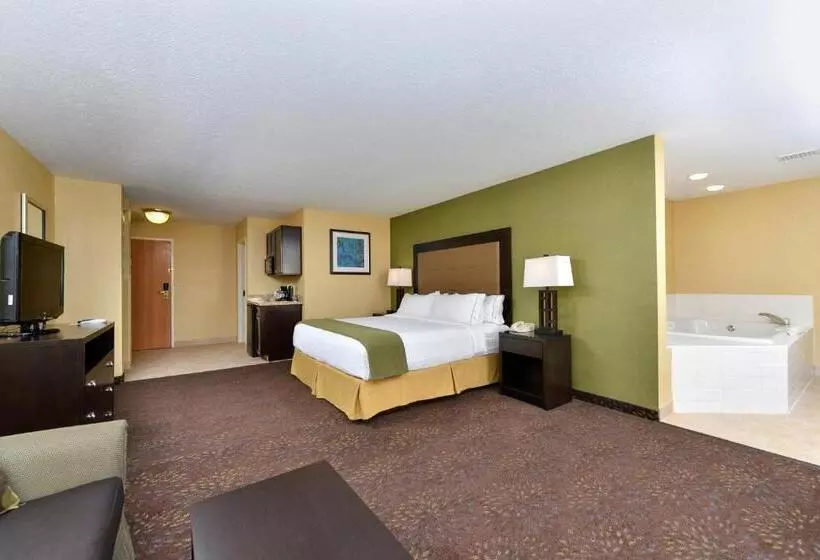 キングサイズベッドのスイートルーム, Holiday Inn Express Hotel & Suites Charlotte, An Ihg