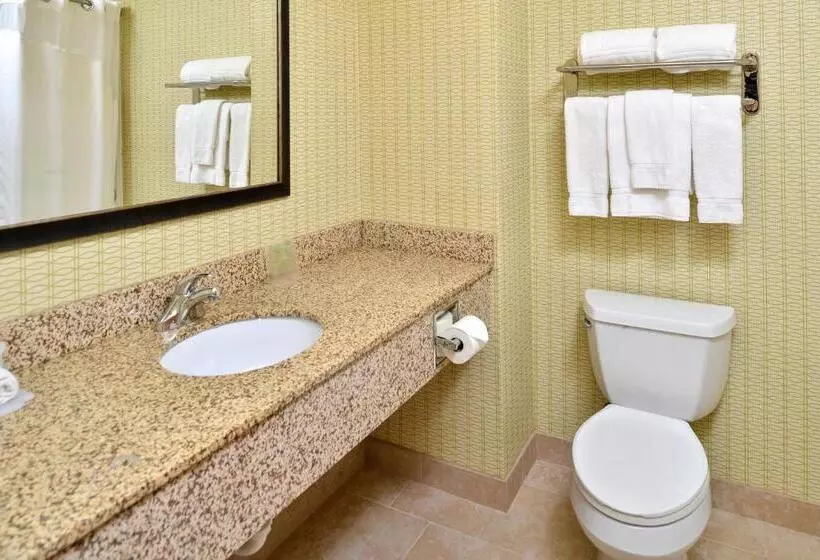 キングサイズベッドのスイートルーム, Holiday Inn Express Hotel & Suites Charlotte, An Ihg