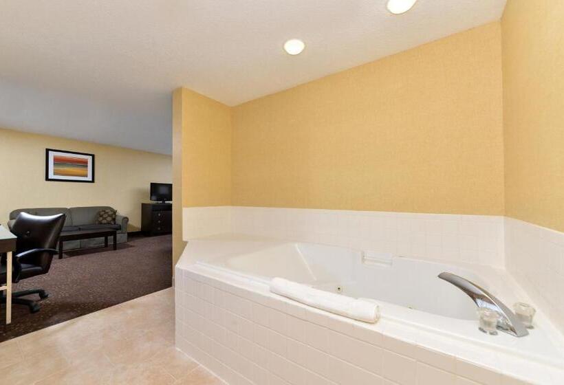 适用于残疾人士的豪华房间, Holiday Inn Express Hotel & Suites Charlotte, An Ihg