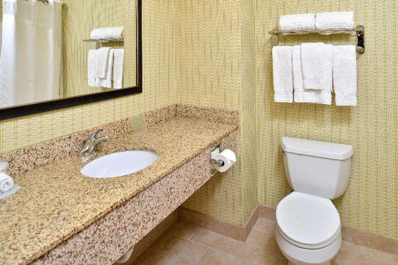 Номер Стандарт Кровать Кинг Адаптированный для Инвалидов, Holiday Inn Express Hotel & Suites Charlotte, An Ihg