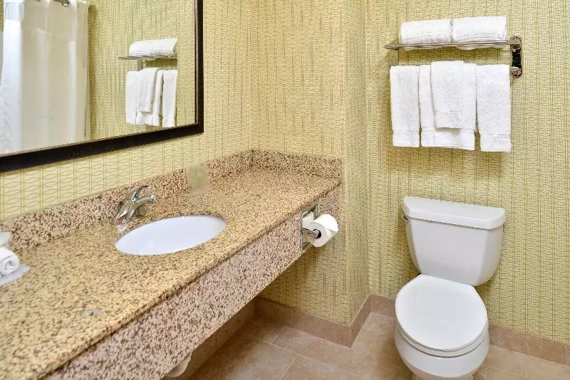 身障者適用キングサイズベッドルーム, Holiday Inn Express Hotel & Suites Charlotte, An Ihg