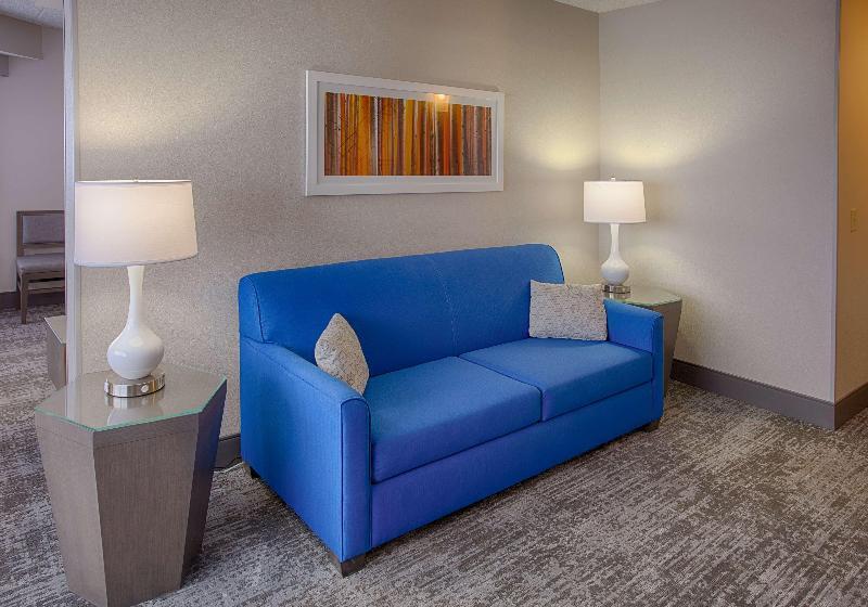适合残疾人使用的标准间, Holiday Inn Express Hotel & Suites Charlotte, An Ihg