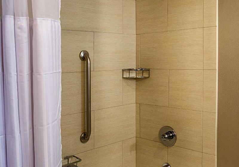 غرفة قياسية لذوى الاحتياجات الخاصة, Holiday Inn Express Hotel & Suites Charlotte, An Ihg