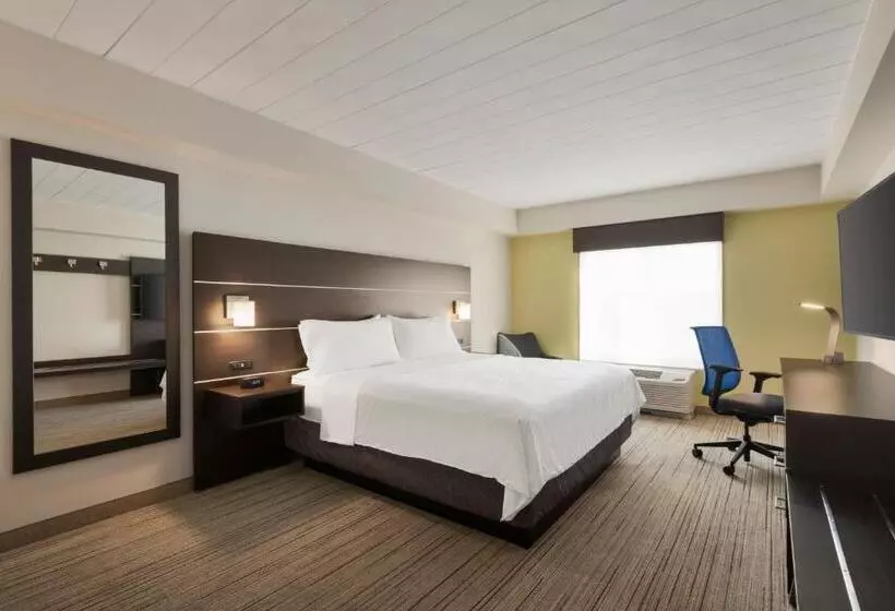 身障者適用キングサイズベッドルーム, Holiday Inn Express Hotel & Suites Fort Myers East   The Forum, An Ihg