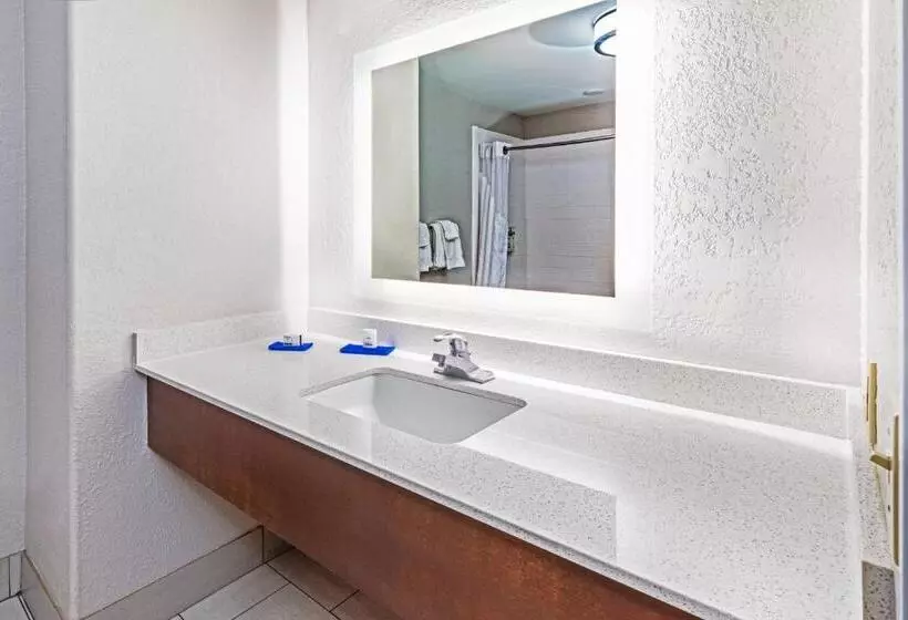 キングサイズベッドのスイートルーム, Holiday Inn Express Hotel & Suites Lafayette South, An Ihg