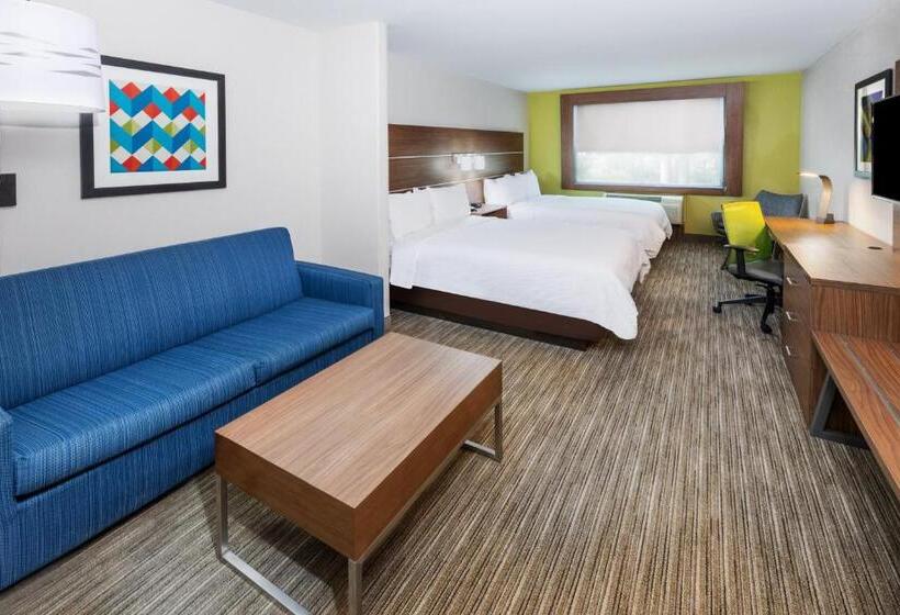 스위트, Holiday Inn Express Hotel & Suites Lafayette South, An Ihg