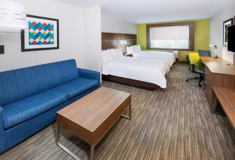 スイート, Holiday Inn Express Hotel & Suites Lafayette South, An Ihg