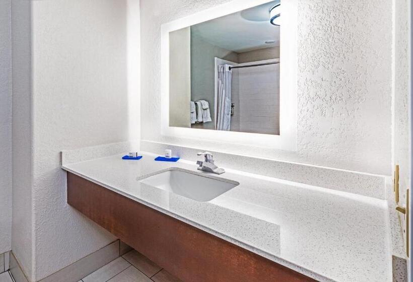 Люкс, Holiday Inn Express Hotel & Suites Lafayette South, An Ihg