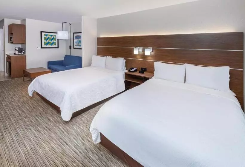 スイート, Holiday Inn Express Hotel & Suites Lafayette South, An Ihg