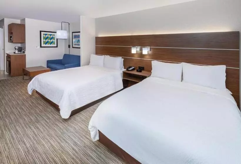 スイート, Holiday Inn Express Hotel & Suites Lafayette South, An Ihg