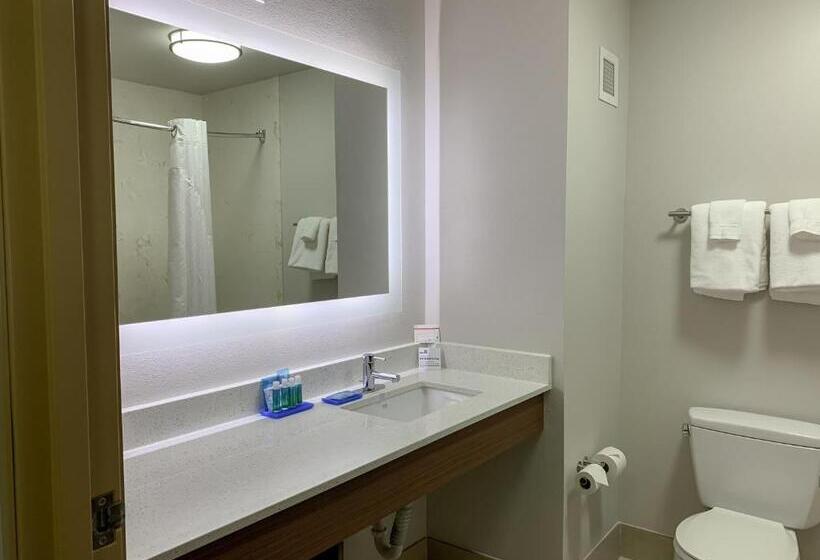 חדר סטנדרט, Holiday Inn Express & Suites Lexington Downtown Area Keeneland, An Ihg