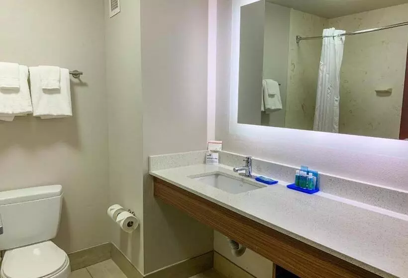 سوییت اجرایی, Holiday Inn Express & Suites Lexington Downtown Area Keeneland, An Ihg