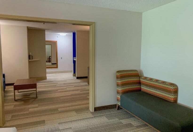 Люкс, Holiday Inn Express & Suites Lexington Downtown Area Keeneland, An Ihg