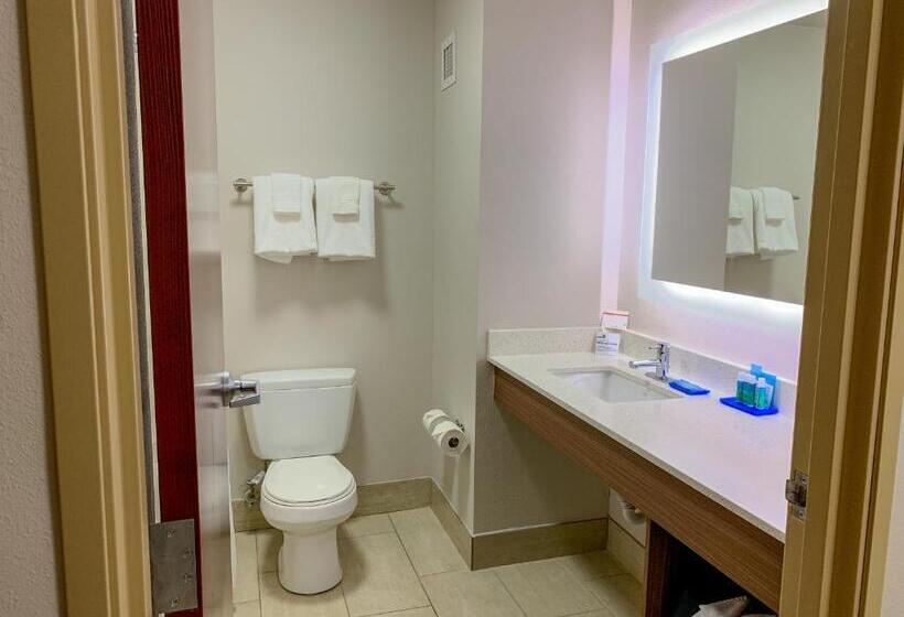 חדר סטנדרט, מיטת קינג, מותאם לאדם עם מוגבלויות, Holiday Inn Express & Suites Lexington Downtown Area Keeneland, An Ihg