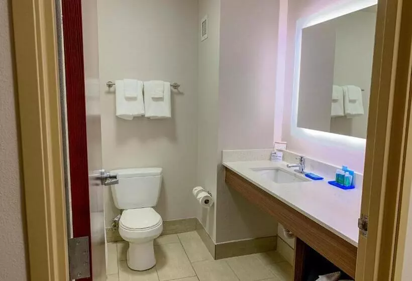 اتاق استاندارد با تخت بزرگ برای معلولان, Holiday Inn Express & Suites Lexington Downtown Area Keeneland, An Ihg