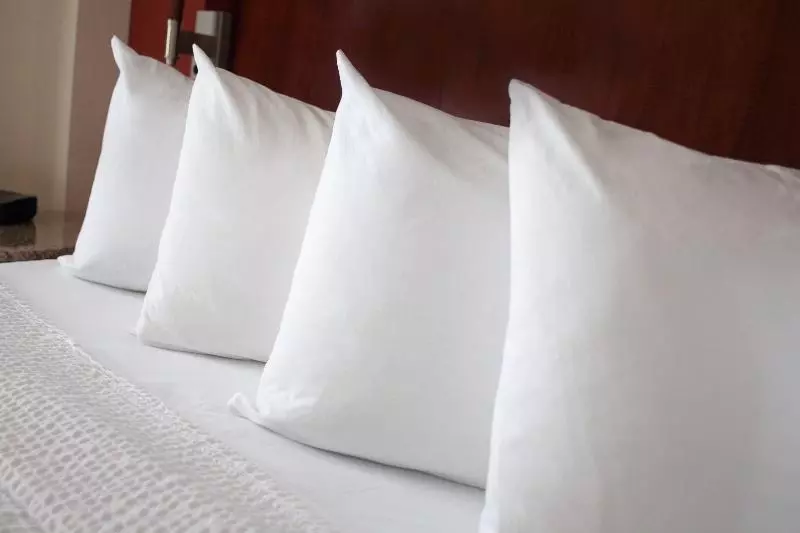キングサイズベッドのスタンダードルーム, Holiday Inn Express & Suites Clinton, An Ihg
