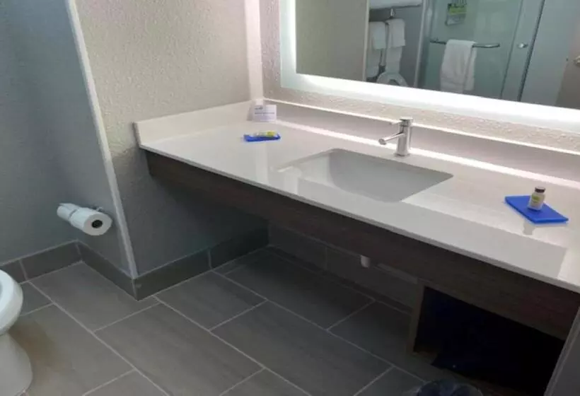 キングサイズベッドのスイートルーム, Holiday Inn Express & Suites   Enterprise, An Ihg