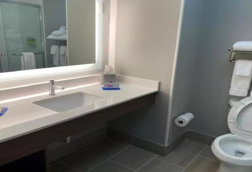 キングサイズベッドのスイートルーム, Holiday Inn Express & Suites   Enterprise, An Ihg