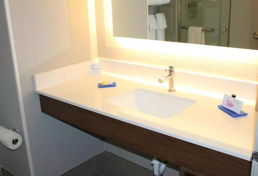 身障者適用キングサイズベッドルーム, Holiday Inn Express & Suites   Enterprise, An Ihg