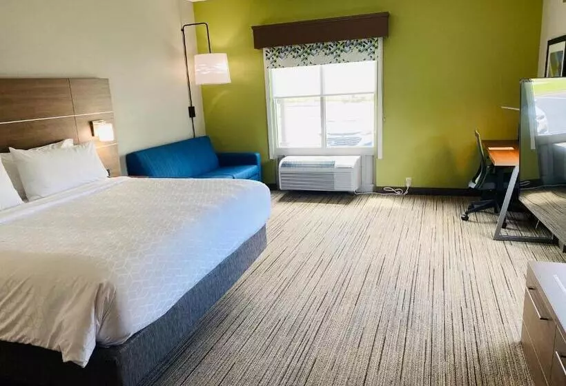 身障者適用キングサイズベッドルーム, Holiday Inn Express & Suites   Enterprise, An Ihg