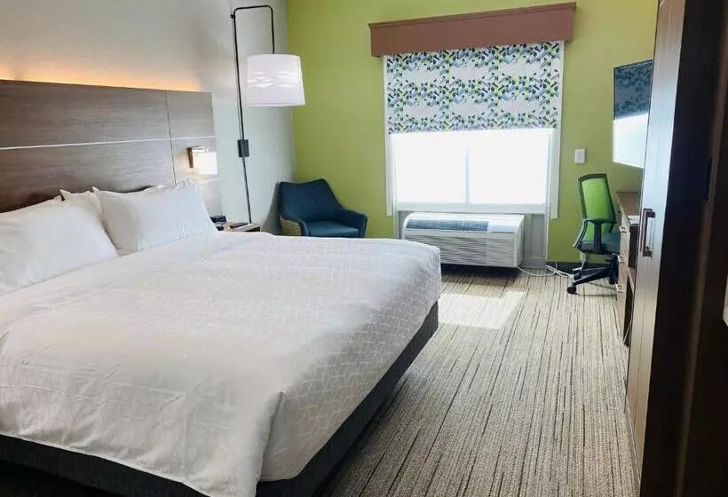 身障者適用キングサイズベッドルーム, Holiday Inn Express & Suites   Enterprise, An Ihg