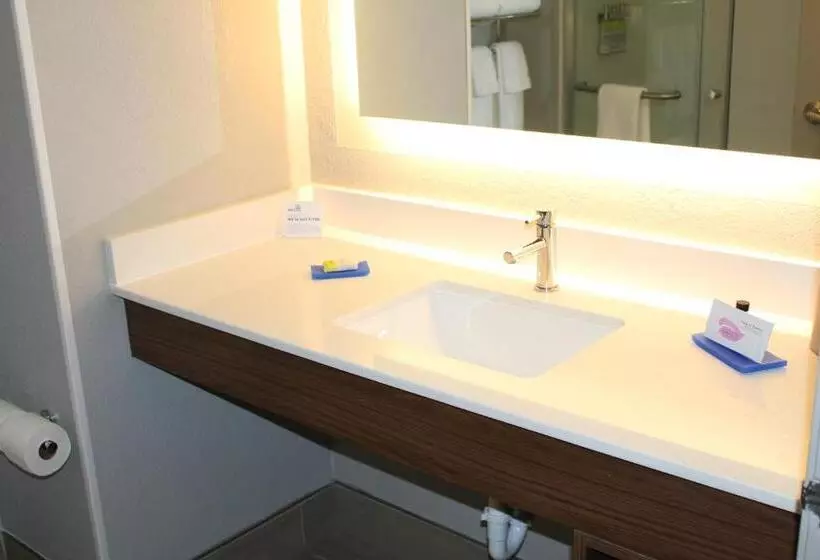 身障者適用スイートルーム, Holiday Inn Express & Suites   Enterprise, An Ihg