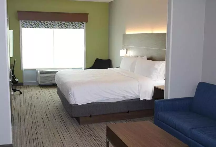 身障者適用スイートルーム, Holiday Inn Express & Suites   Enterprise, An Ihg