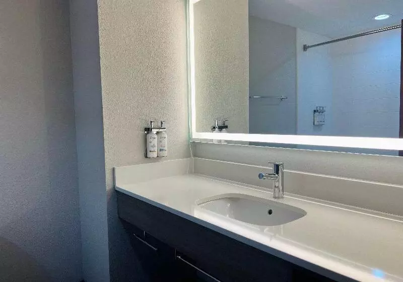 キングサイズベッドのスタンダードルーム, Holiday Inn Express & Suites Sebring, An Ihg