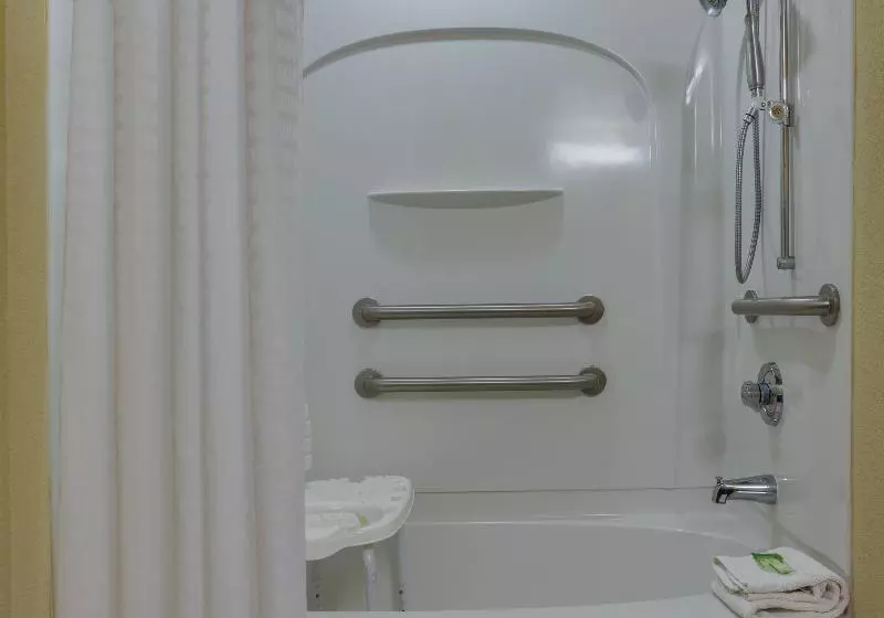 キングサイズベッドのスタンダードルーム, Holiday Inn Express & Suites Sebring, An Ihg
