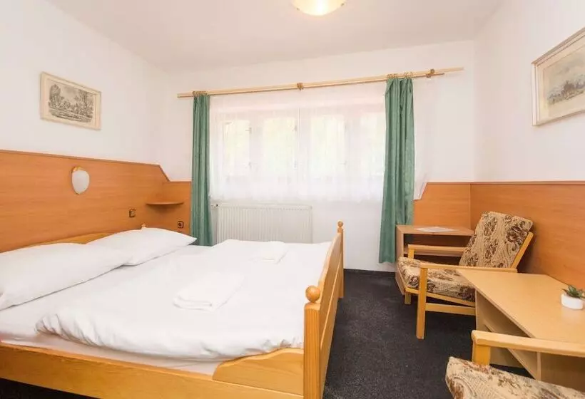 اتاق استاندارد, Sport Hotel Gejzirpark