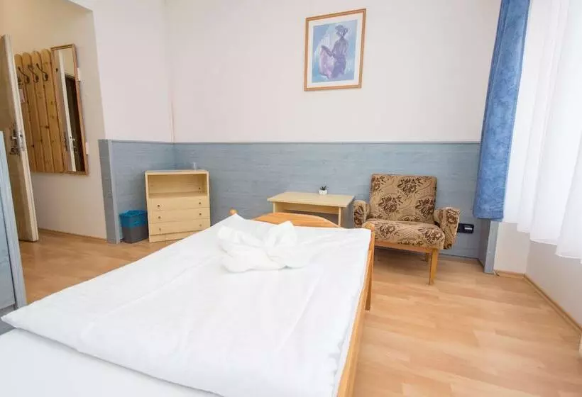 اتاق استاندارد یک نفره, Sport Hotel Gejzirpark