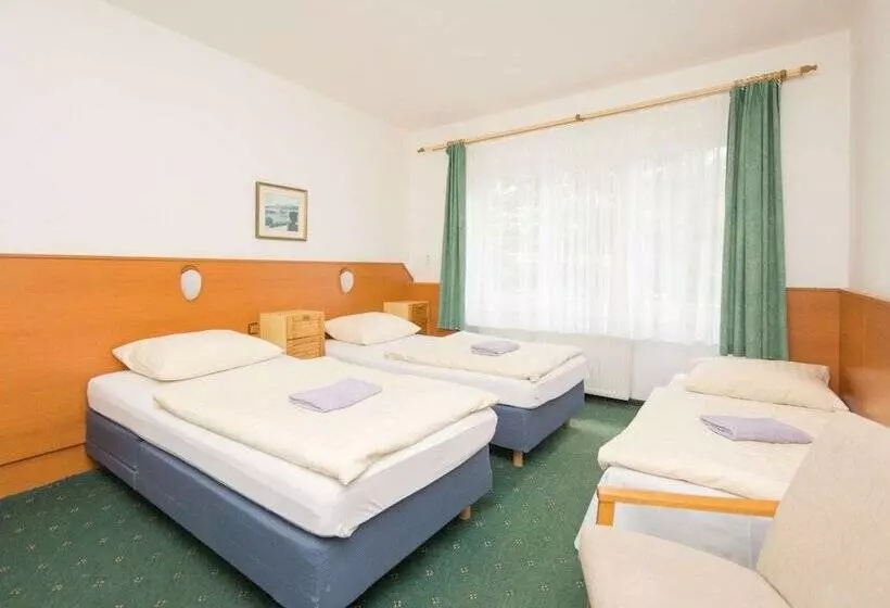 اتاق استاندارد سه نفره, Sport Hotel Gejzirpark