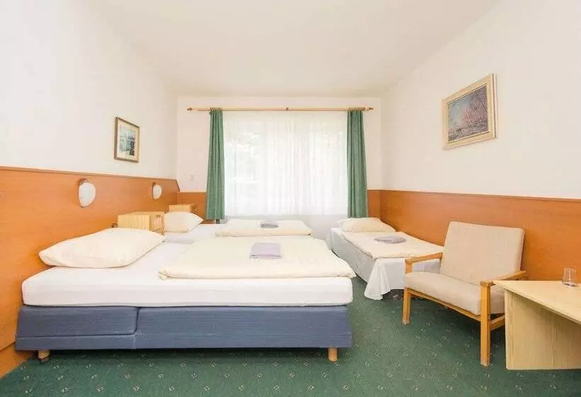 اتاق استاندارد سه نفره, Sport Hotel Gejzirpark