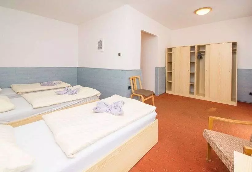 اتاق استاندارد سه نفره, Sport Hotel Gejzirpark