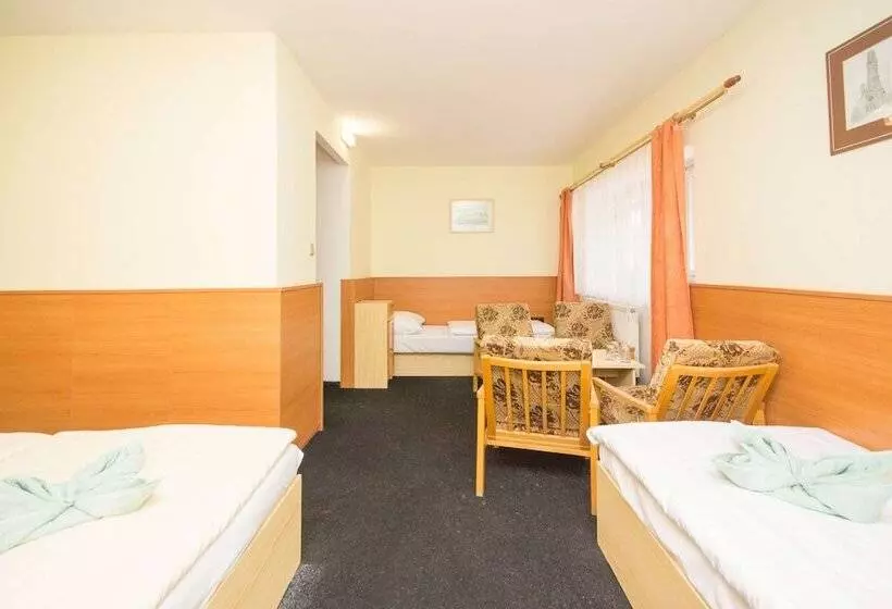 اتاق استاندارد چهار تخته, Sport Hotel Gejzirpark