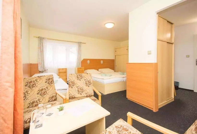 اتاق استاندارد چهار تخته, Sport Hotel Gejzirpark