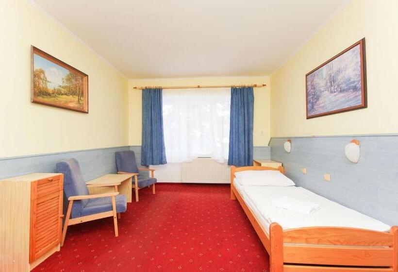 חדר סטנדרט יחיד, Sport Hotel Gejzirpark