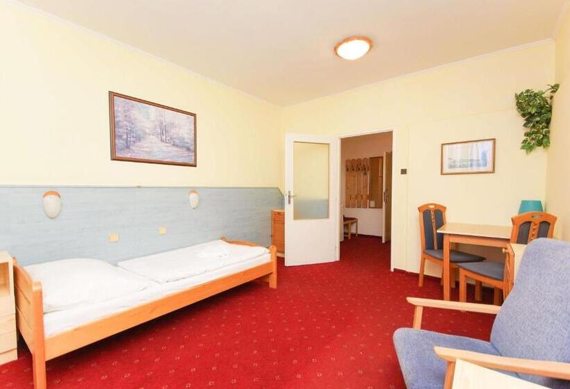 חדר סטנדרט יחיד, Sport Hotel Gejzirpark