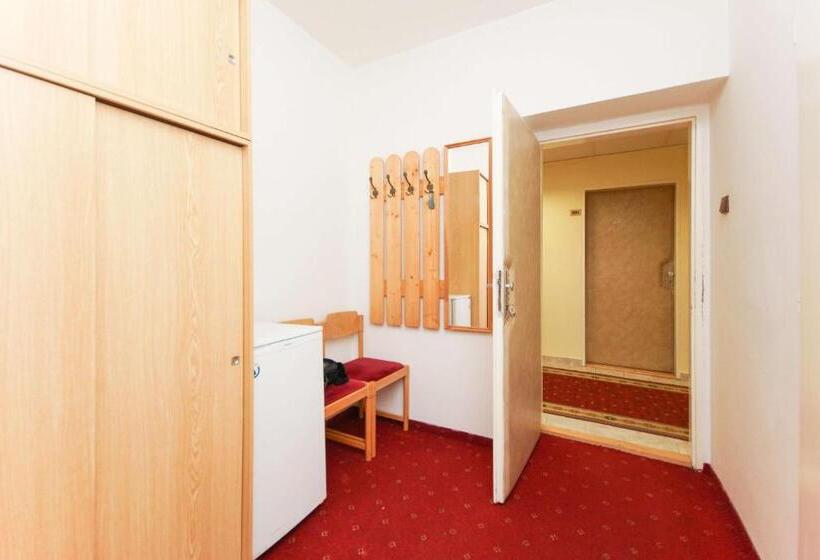 חדר סטנדרט, Sport Hotel Gejzirpark