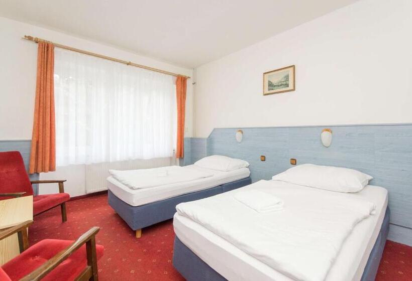 חדר סטנדרט, Sport Hotel Gejzirpark