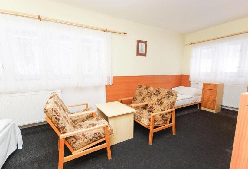 חדר סטנדרט לארבעה, Sport Hotel Gejzirpark