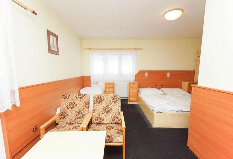 חדר סטנדרט לארבעה, Sport Hotel Gejzirpark