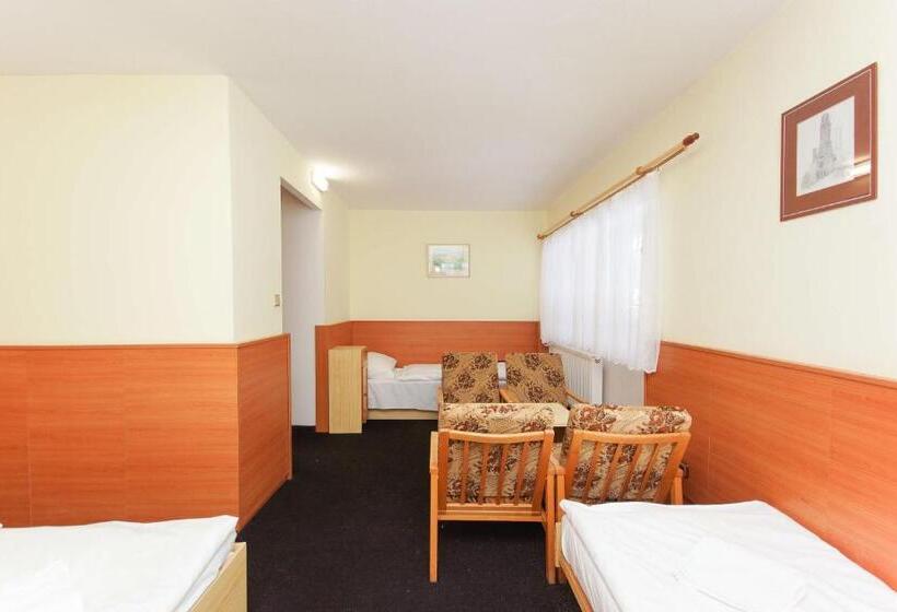 חדר סטנדרט לארבעה, Sport Hotel Gejzirpark
