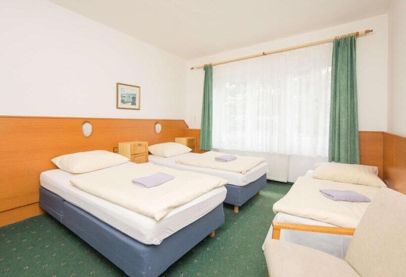 חדר סטנדרט לשלושה, Sport Hotel Gejzirpark