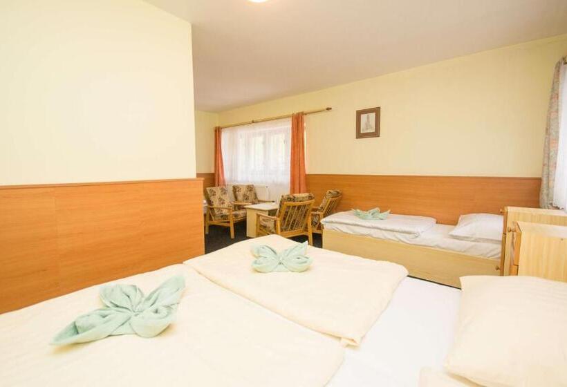 家庭间, Sport Hotel Gejzirpark