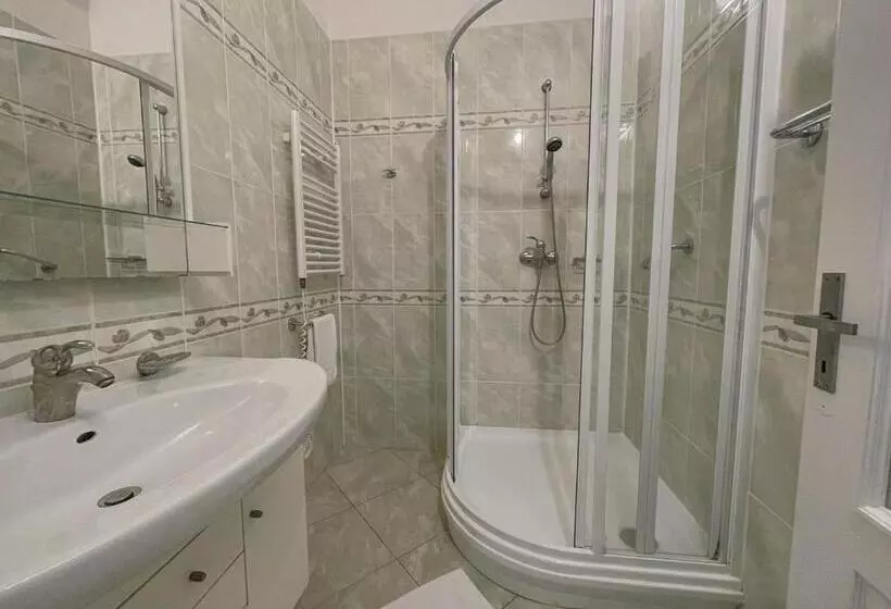 آپارتمان 1 خوابه, Sport Hotel Gejzirpark