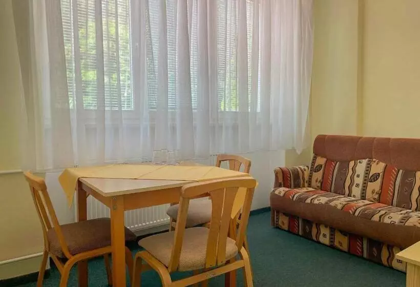 آپارتمان 1 خوابه, Sport Hotel Gejzirpark